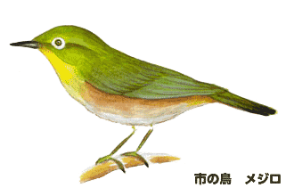 写真:市の鳥 メジロ