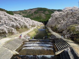 写真:鮎河うぐい川