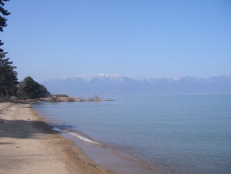写真:マイアミ浜