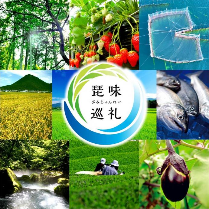 琵味巡礼告知画像