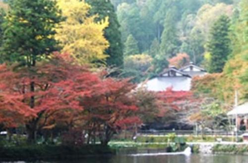 写真:醒ヶ井養鱒場風景