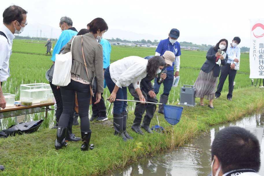 野洲市須原での様子