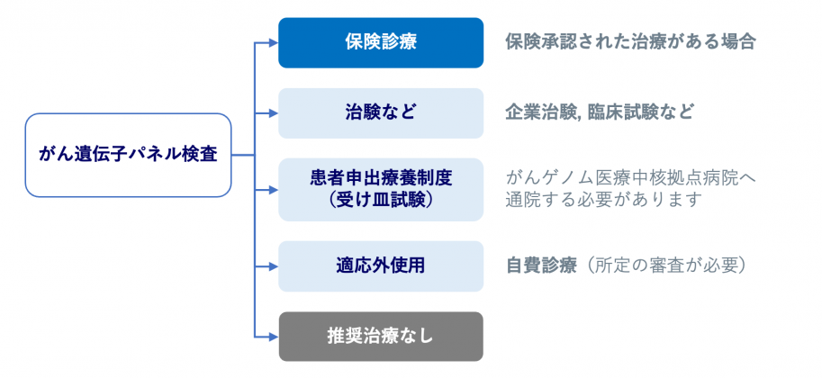 がん遺伝子パネル検査