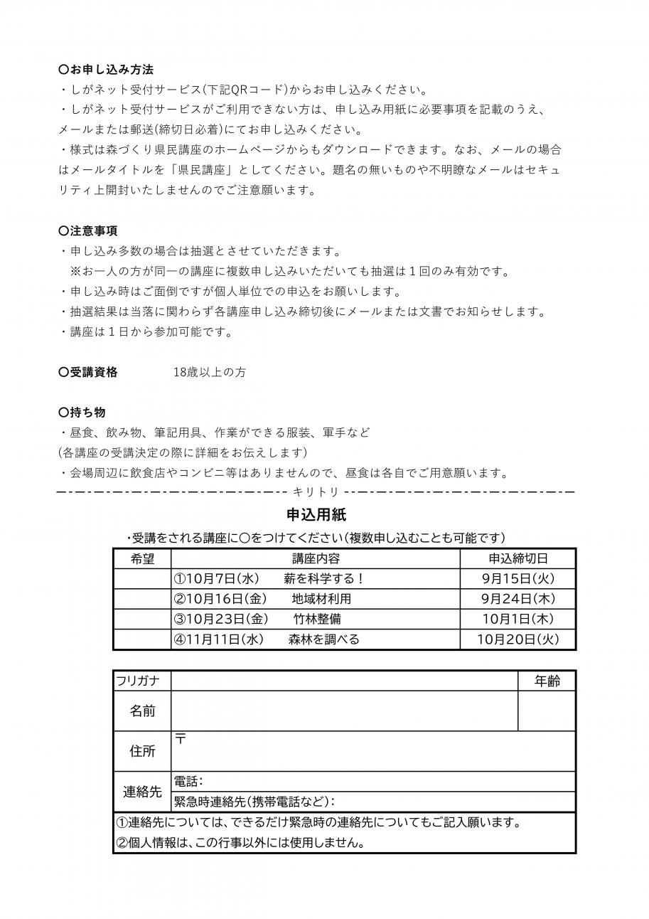 チラシ画像2