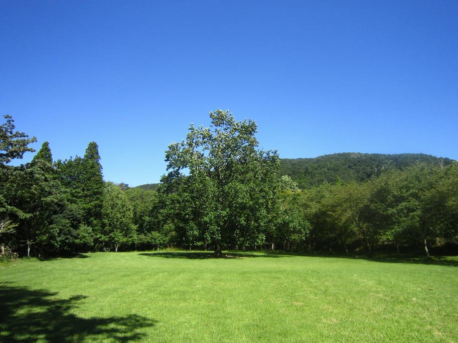 公園