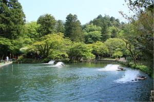 醒井養鱒場