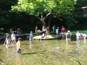 醒井養鱒場