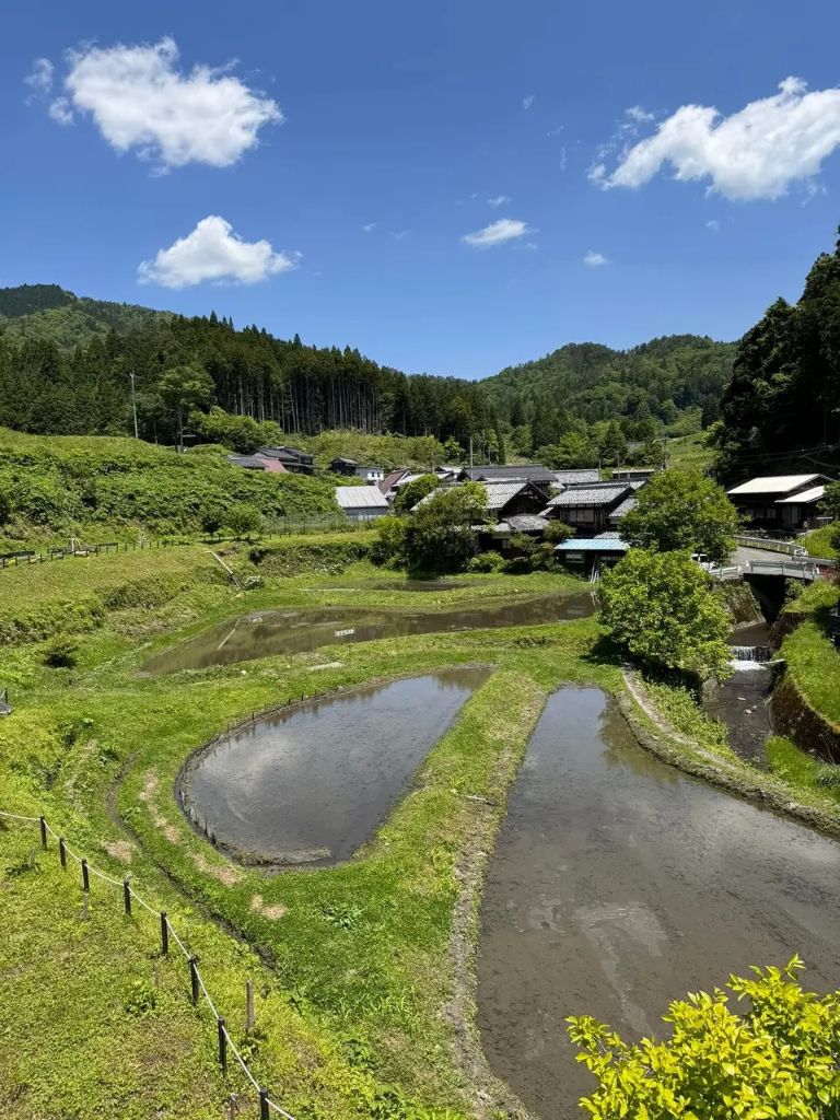 高島市畑の棚田