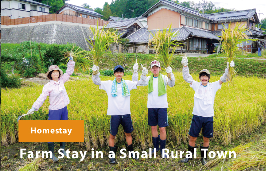 Farm Stay in a Small Rural Town