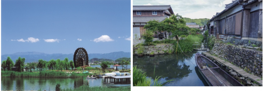 琵琶湖「二つの内湖」を巡るの写真