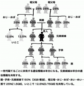 血縁者での遺伝情報割合の図