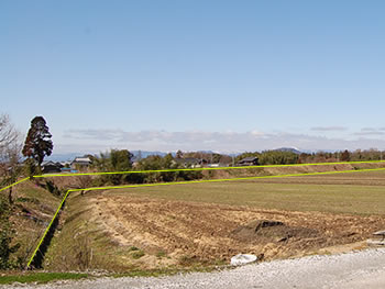 横堤