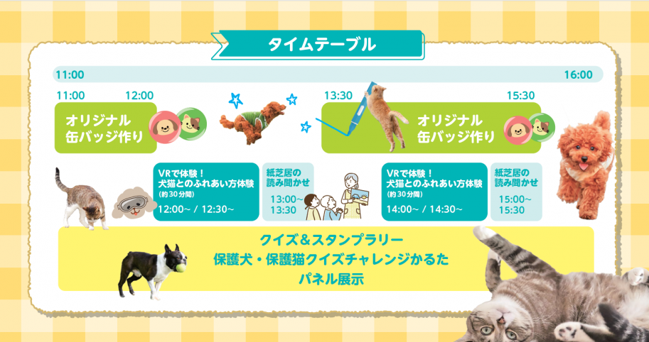 タイムスケジュール