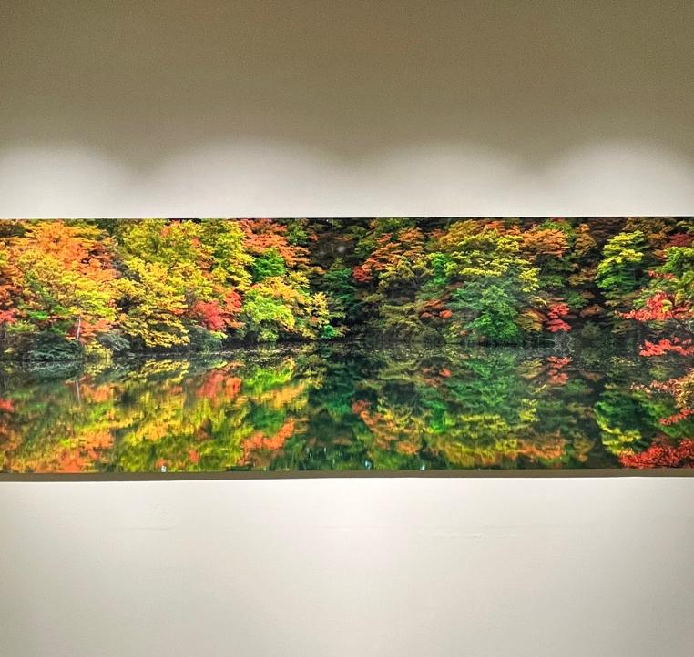 展示の様子3