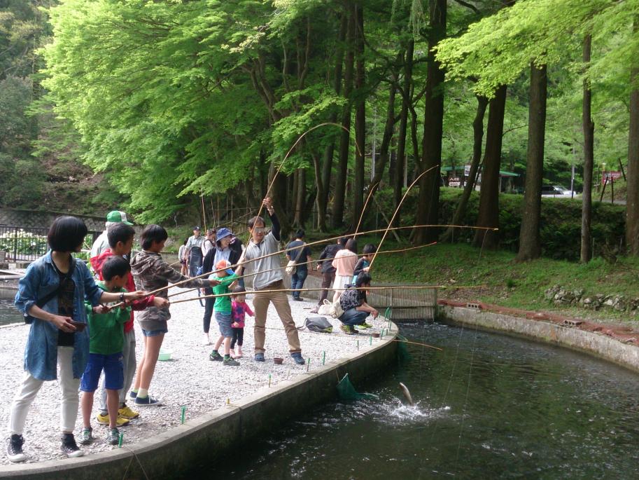 醒井養鱒場3