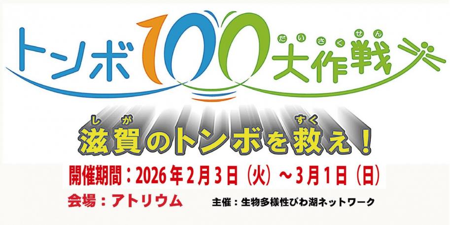 トンボ100大作戦~滋賀のトンボを救え!~