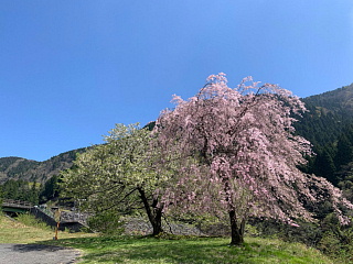 4月16日の石田川ダムです。
