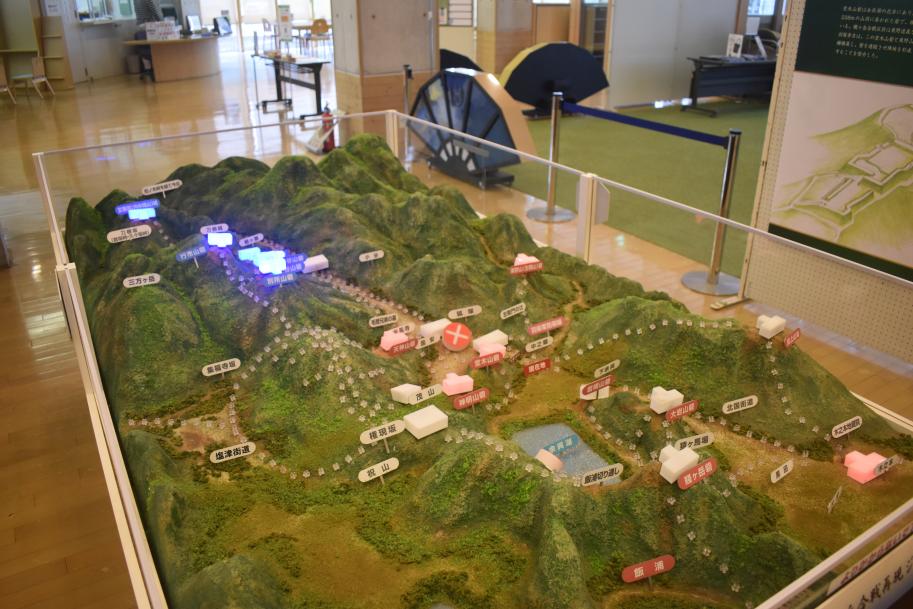 展示