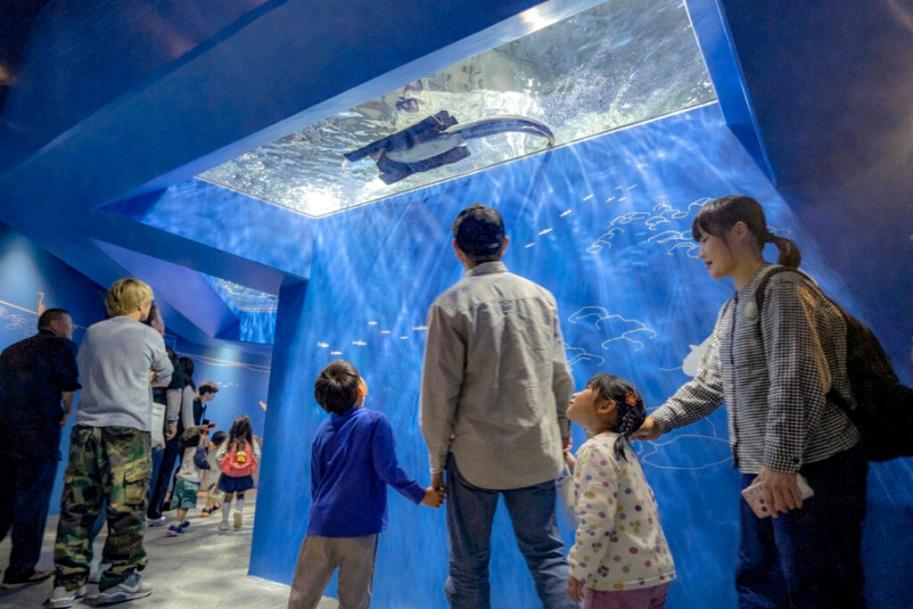 水槽の裏側からビワコオオナマズを見上げる親子たち