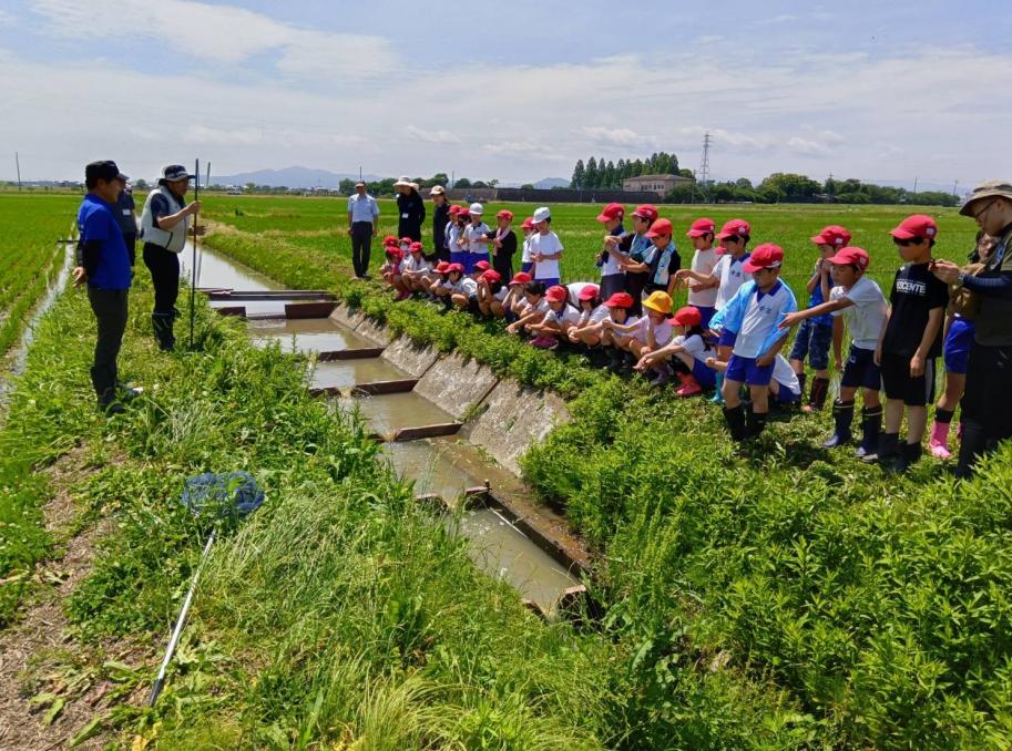 小学生相手にせせらぎの郷須原の方々が魚のゆりかご水田について教えている様子