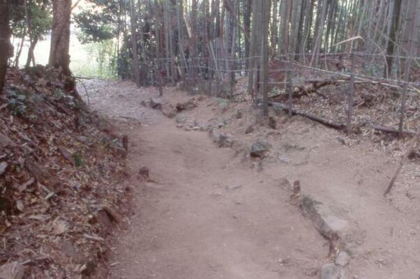 karametemichi