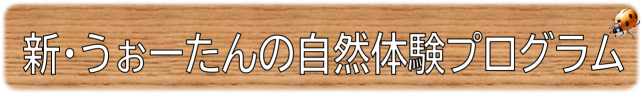 新・うぉーたんの自然体験プログラム