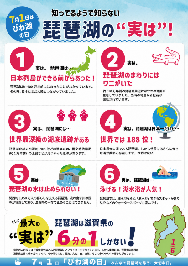琵琶湖の実は