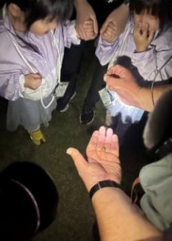 ナイトハイキングをしている写真