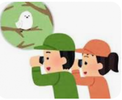 バードウォッチングのイラスト