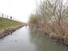 堤脚水路