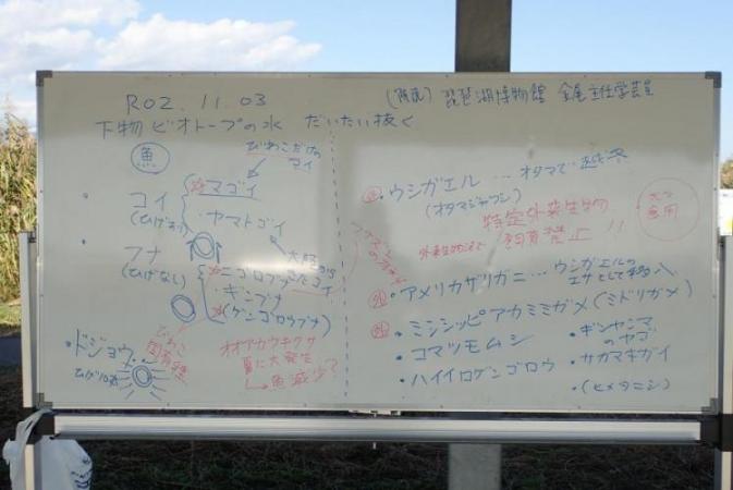 解説のホワイトボードの写真