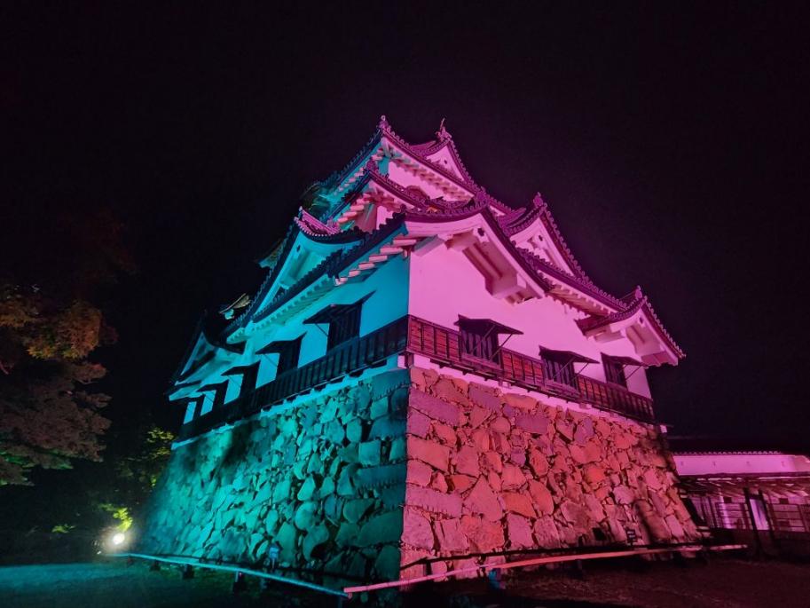 昨年度の様子（彦根城）