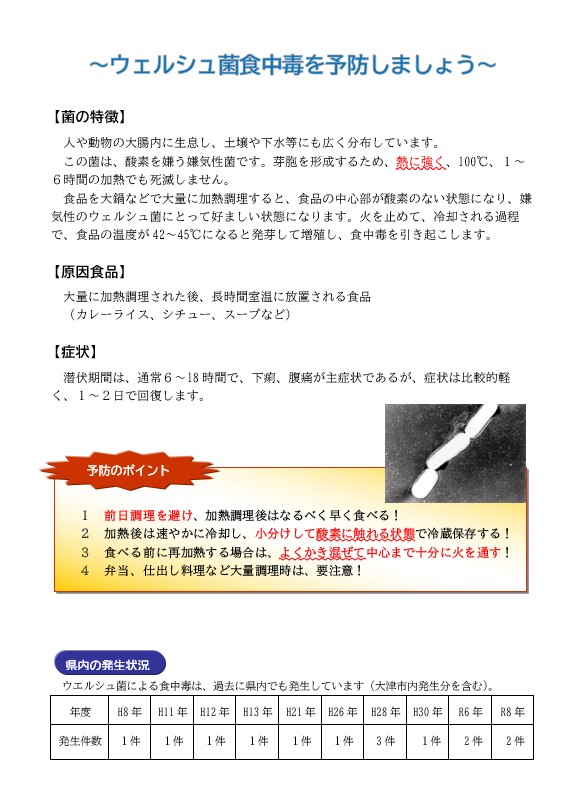 ウエルシュ菌の啓発資料