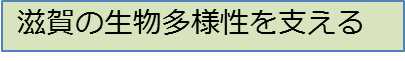 多様性を支える