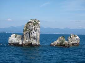 沖の白石
