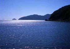 琵琶湖の写真