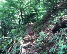 米原市東草野の山村景観(実施後)