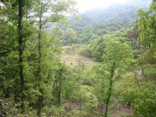 山門水源の森1