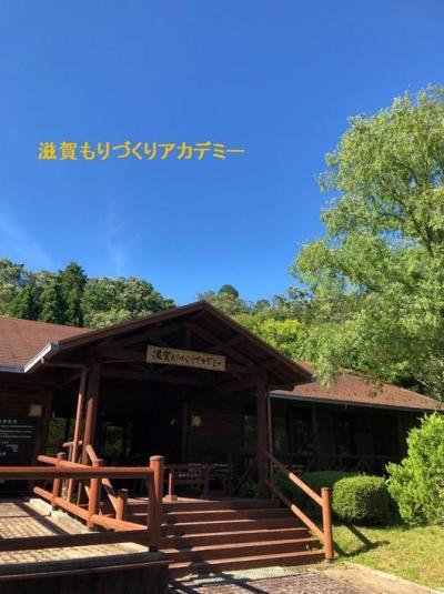 もりづくりアカデミー
