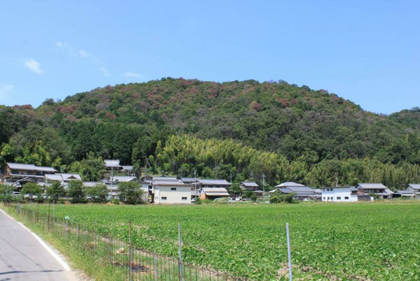 被害状況遠景