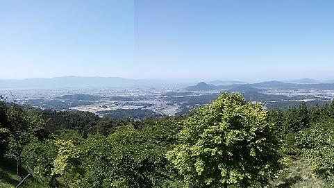 森林風景