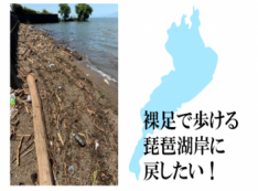 米原市世継の琵琶湖岸を裸足で歩ける砂浜に戻したい