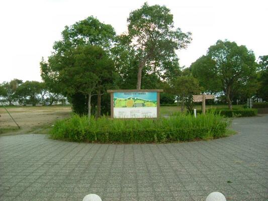 公園の写真3