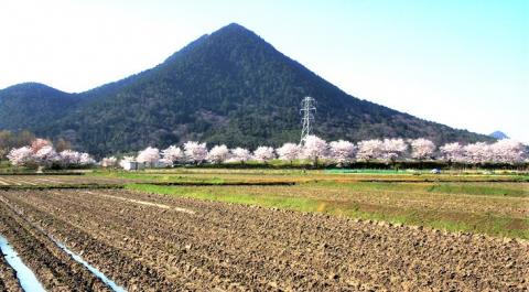 セブンイレブン南桜店付近の農道