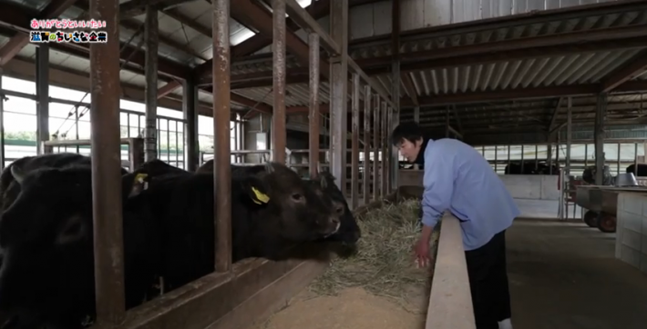 「肉の加賀屋」さん