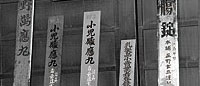 甲賀・日野製薬