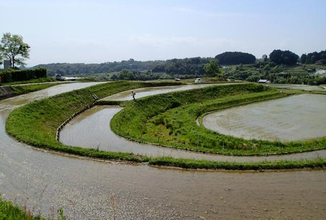 平尾の棚田1