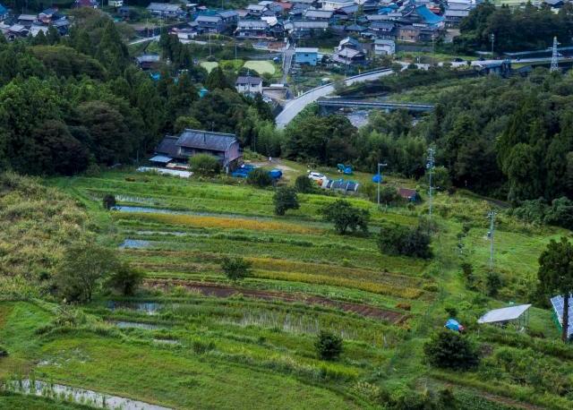 小泉の棚田1