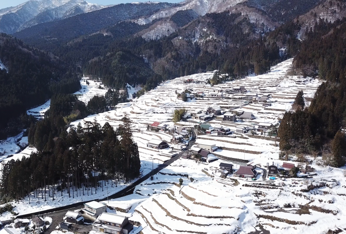 冬の棚田