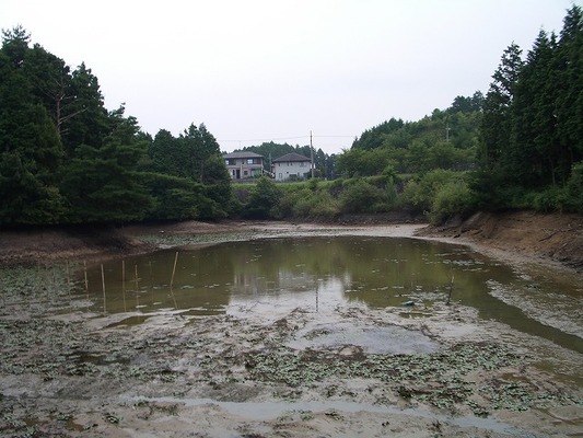 ため池の状況